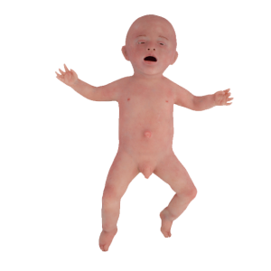 NENA Sim (Simulator For Neonatal Training)