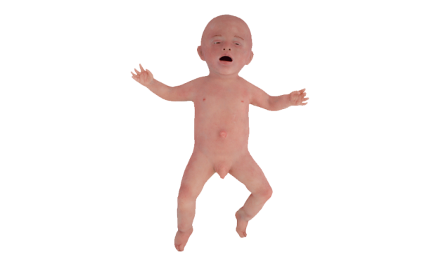 NENA Sim (Simulator For Neonatal Training)
